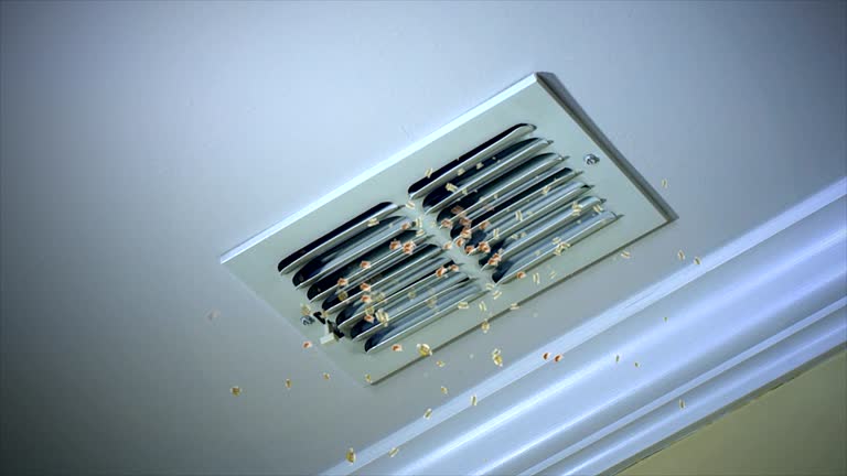 Best Commercial Air Duct Cleaning  in Primera, TX
