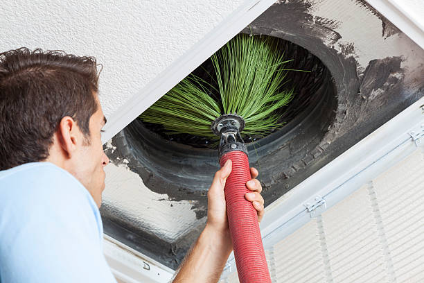 Best Air Duct Cleaning Company Near Me  in Primera, TX